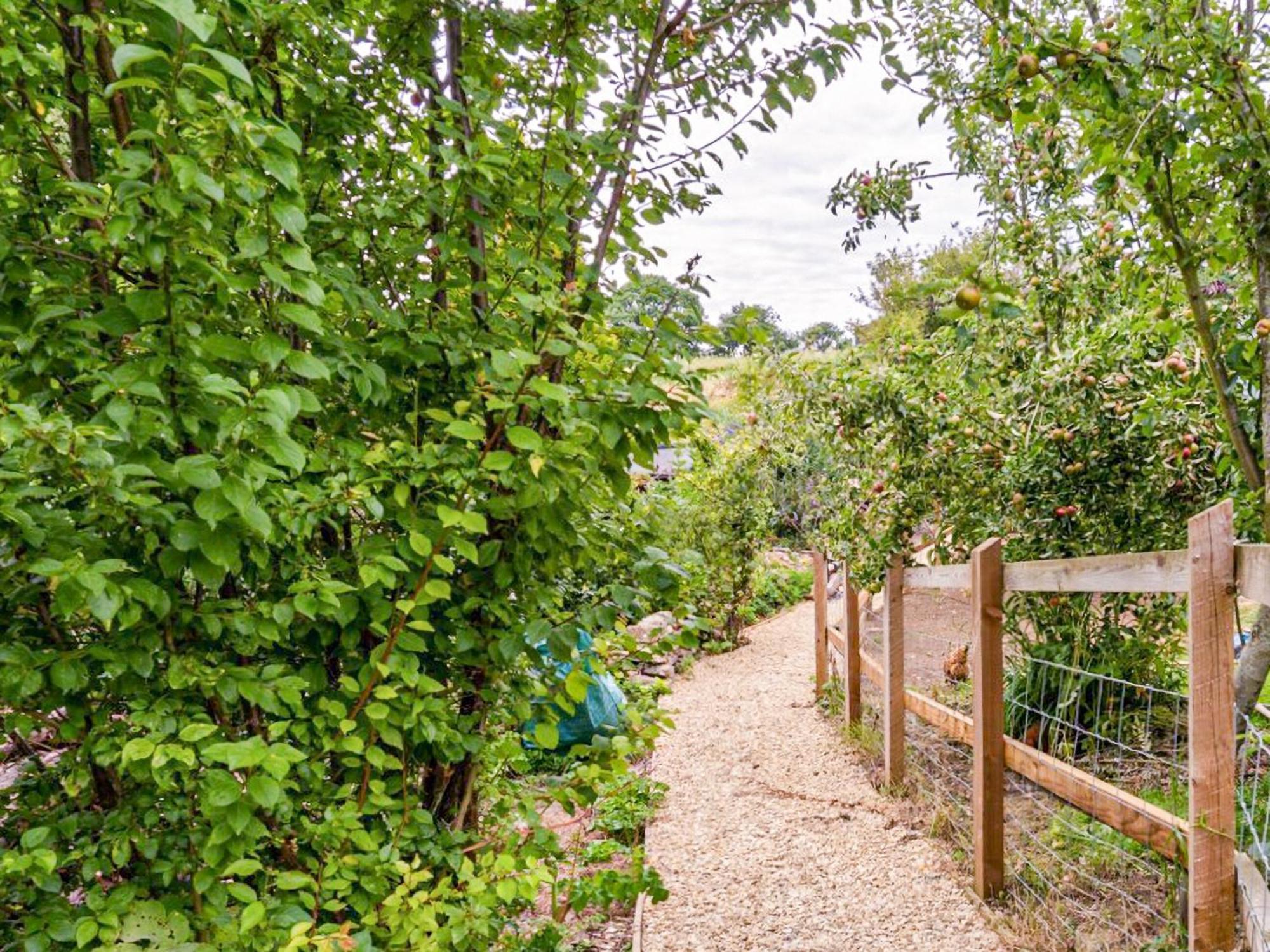 Fig Tree Shepherds Hut Bridport Eksteriør bilde