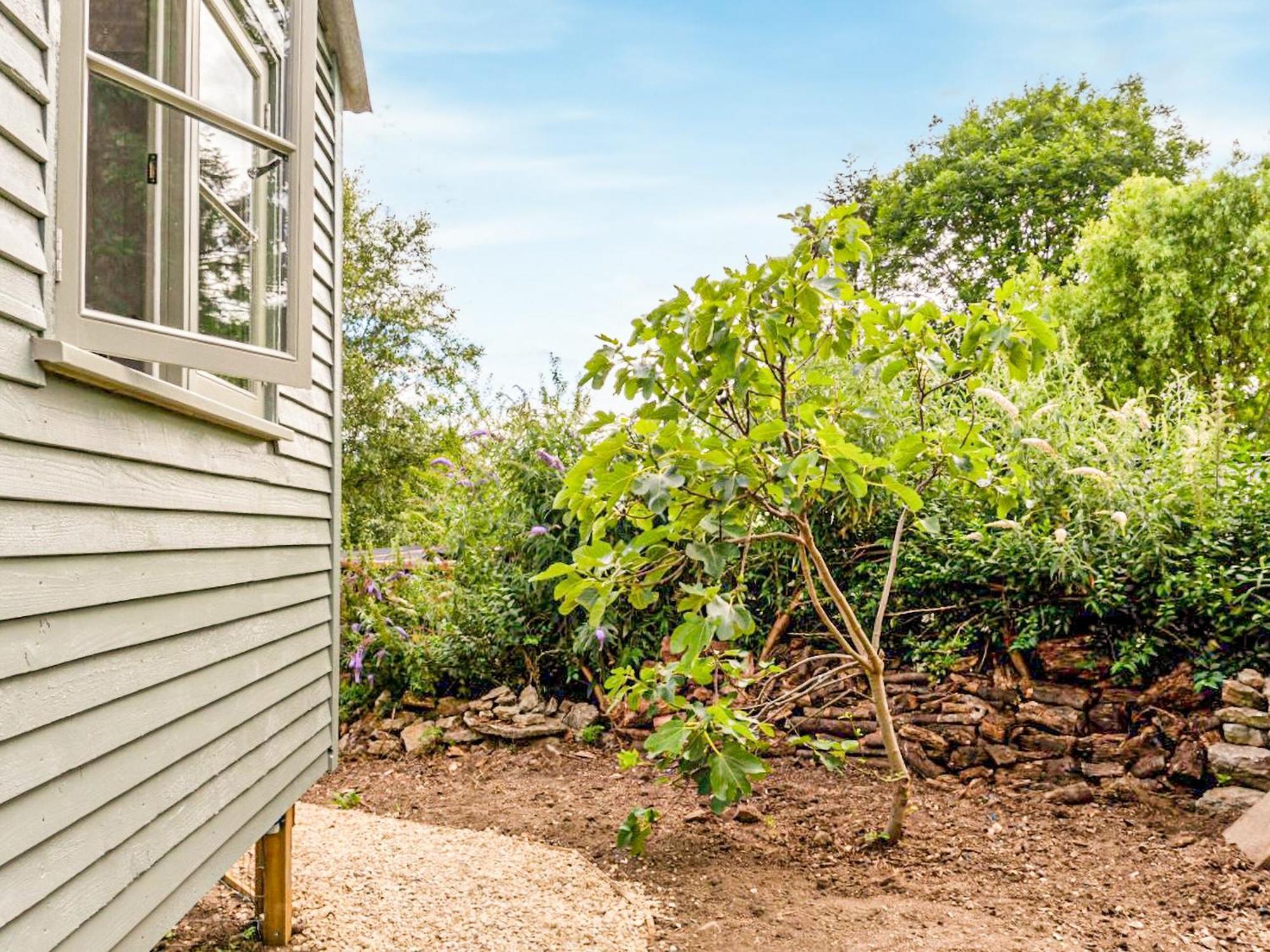 Fig Tree Shepherds Hut Bridport Eksteriør bilde